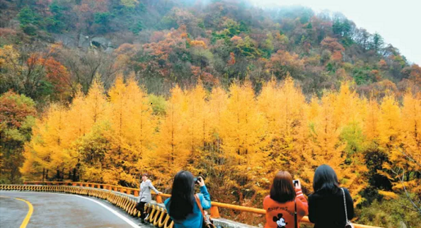 Qinling Mountains 