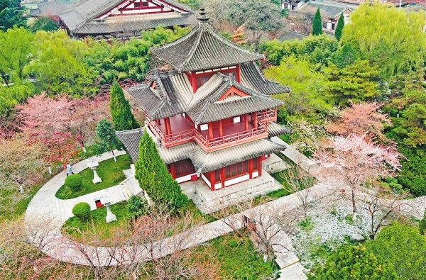 Xi'an Qinglong Temple among top 10 cherry blossom sites