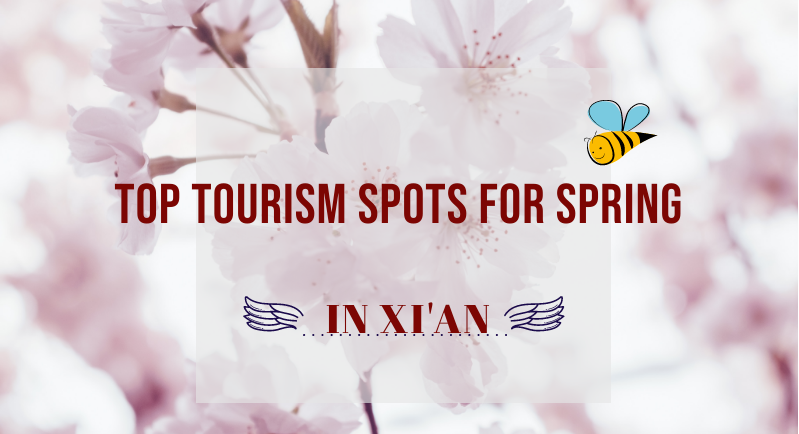 Top tourism spots for spring in Xi'an