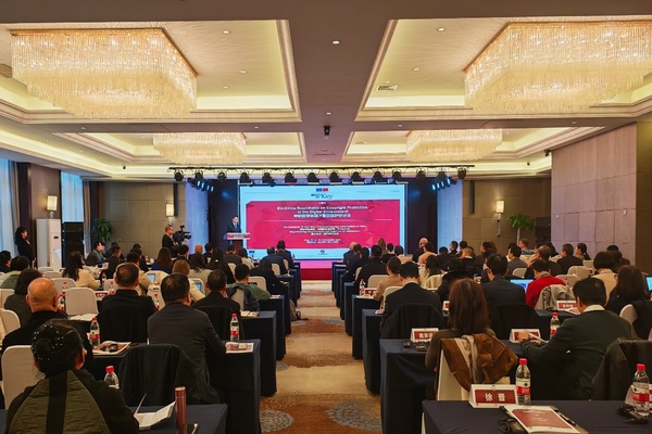 EU-China roundtable on copyright protection held in Xi'an