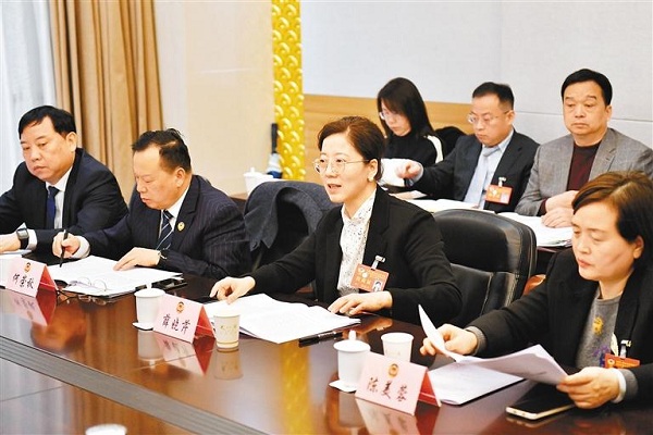 CPPCC Xi'an Committee members engage in group discussions